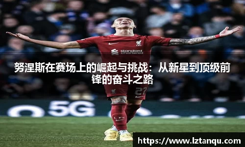 努涅斯在赛场上的崛起与挑战：从新星到顶级前锋的奋斗之路